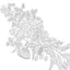 Millie Marotta's Woodland Wild (A Millie Marotta Adult Color