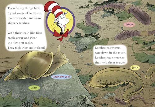 Would You Rather Be a Pollywog? All About Pond Life (The Cat in the Hat's Learning Library)
