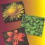 Edible and Medicinal Plants of the Great Lakes Region