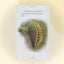 Hungry Plants (Step-into-Reading, Step 4)