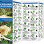 Louisiana Trees & Wildflowers: A Folding Pocket Guide to Familiar Plants (Wildlife and Nature Identification)