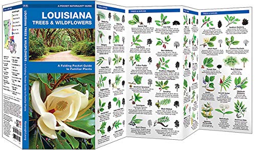 Louisiana Trees & Wildflowers: A Folding Pocket Guide to Familiar Plants (Wildlife and Nature Identification)