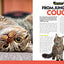 Cat Breed Guide: A complete reference to your purr-fect best friend