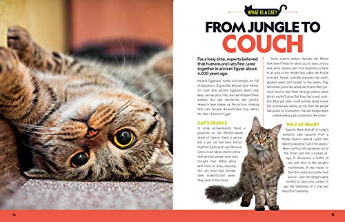 Cat Breed Guide: A complete reference to your purr-fect best friend