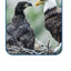 America's Eagle (TIME FOR KIDS Nonfiction Readers)