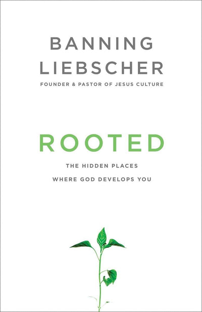 Invitation to Solitude and Silence: Experiencing Gods Transforming Presence