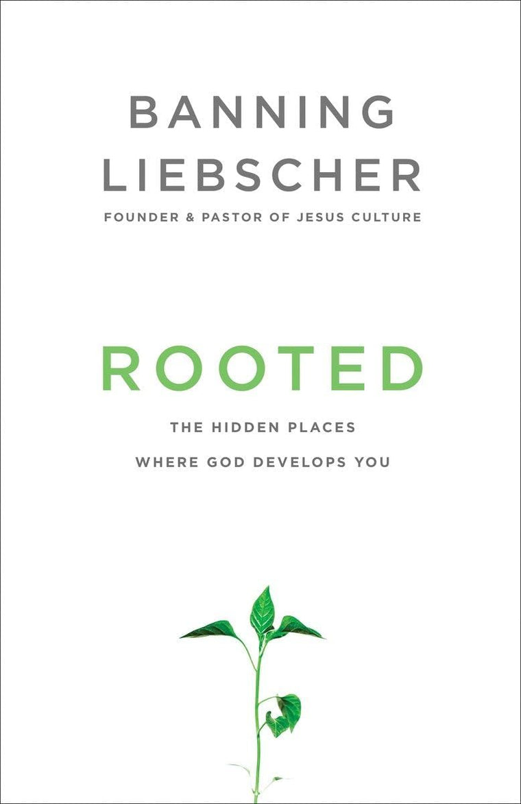 Invitation to Solitude and Silence: Experiencing Gods Transforming Presence