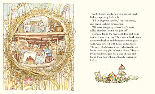 A Year in Brambly Hedge: Celebrating forty years of Brambly Hedge with this beautiful storybook gift set