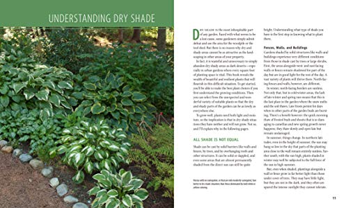Planting the Dry Shade Garden: The Best Plants for the Toughest Spot in Your Garden