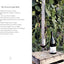 Vino: The Essential Guide to Real Italian Wine