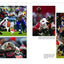 The Chicago Tribune Book of the Chicago Bears, 2nd ed.