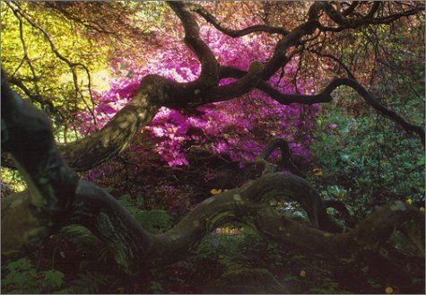 A Gardener's Labyrinth: Portraits of People, Plants and Plac