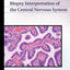 Biopsy Interpretation of the Central Nervous System (Biopsy Interpretation Series)