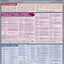 Portuguese Vocabulary QuickStudy Laminated Reference Guide (QuickStudy Academic)