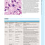 Wheater's Functional Histology: A Text and Colour Atlas (FUNCTIONAL HISTOLOGY (WHEATER'S))