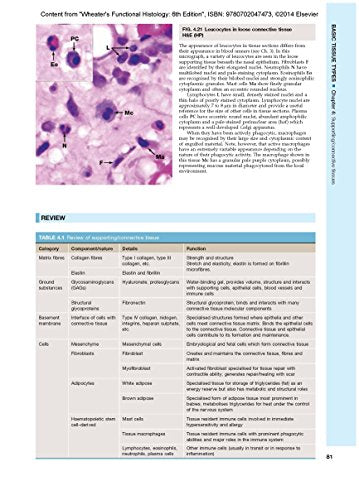 Wheater's Functional Histology: A Text and Colour Atlas (FUNCTIONAL HISTOLOGY (WHEATER'S))