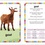 My First Touch and Feel Picture Cards: Farm (My First Board Books)