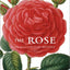 The Rose: An Illustrated History