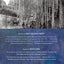 Mad Enchantment: Claude Monet and the Painting of the Water Lilies