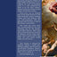 War on the Saints: A Text Book for believers on the work of deceiving spirits among the children of God