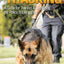 Police K9 Tracking: A Guide for Training & Deploying the Pol