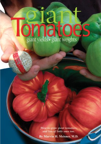 Giant Tomatoes