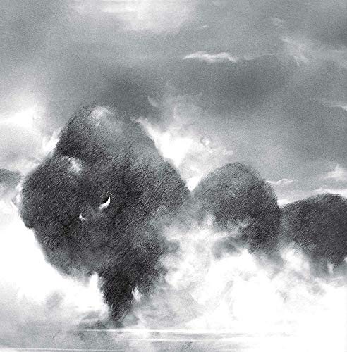 Where the Buffaloes Begin