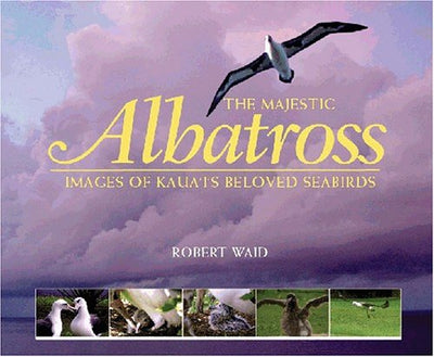 Majestic Albatross of Kauai