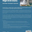 Seismic Safety of High Arch Dams