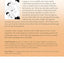Soseki Natsume's Botchan: The Manga Edition: One of Japan's Most Popular Novels of All Time - Now Available in Manga Form! (Tuttle Japanese Classics in Manga)