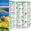 North Carolina Trees & Wildflowers: A Folding Pocket Guide to Familiar Plants (Wildlife and Nature Identification)