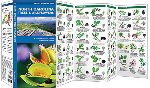 North Carolina Trees & Wildflowers: A Folding Pocket Guide to Familiar Plants (Wildlife and Nature Identification)