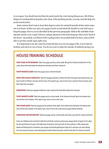 The American Kennel Club's Train Your Puppy Right (CompanionHouse Books) Welcoming Your New Pup, Socialization, House-Training, Puppy Lessons, Problem-Solving, Activities, and Sports