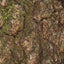 Waterproof Durable New Testament with Psalms and Proverbs-NIV(2011)-Camouflage