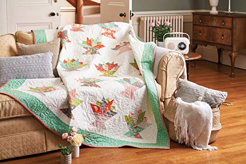 Love Jelly Roll Quilts: A Bakers Dozen of Tasty Projects for All Skill Levels