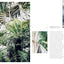 Wild Interiors: Beautiful plants in beautiful spaces