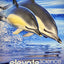 ELEVATE ELEMENTARY SCIENCE 2019 STUDENT EDITION GRADE 1