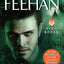 Dark Nights (Dark Series + Bonus Novella) by Feehan, Christine