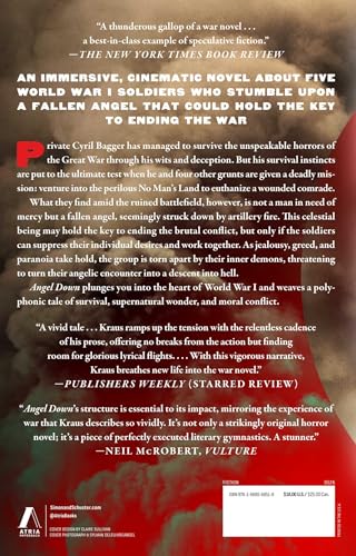 Angel Down (Pulitzer Prize Winner): A Novel