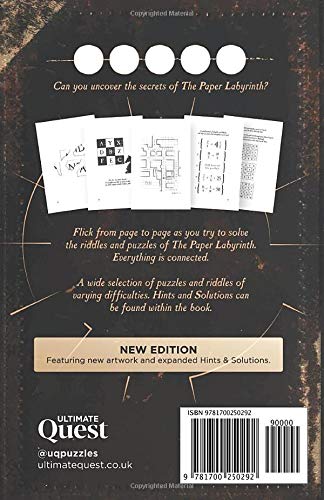 The Paper Labyrinth: A Book-wide Puzzle Solving Adventure (The Paper Labyrinth Series)
