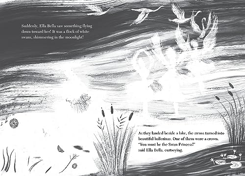 Ella Bella Ballerina and Swan Lake: A Ballerina Book for Tod