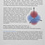 Quantum Theory for Chemical Applications: From Basic Concepts to Advanced Topics