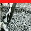 The Doctrine of Fascism by Benito Mussolini