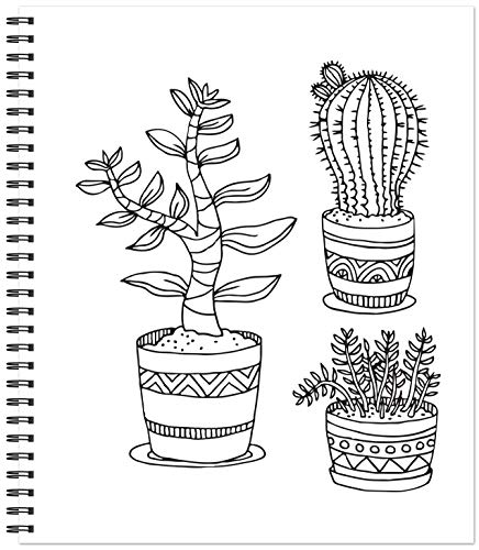Color & Frame - Painted Deserts (Adult Coloring Book)