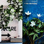 Inspired by Nature: Creating a personal and natural interior