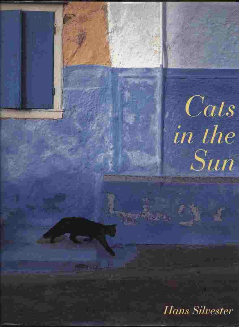 Cats in the Sun