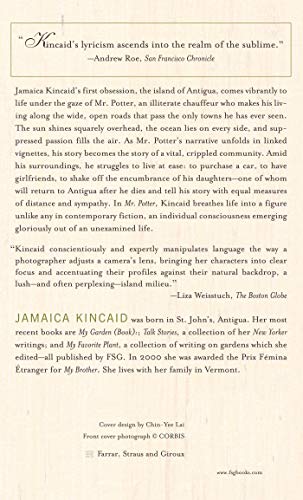 Mr. Potter: A Novel