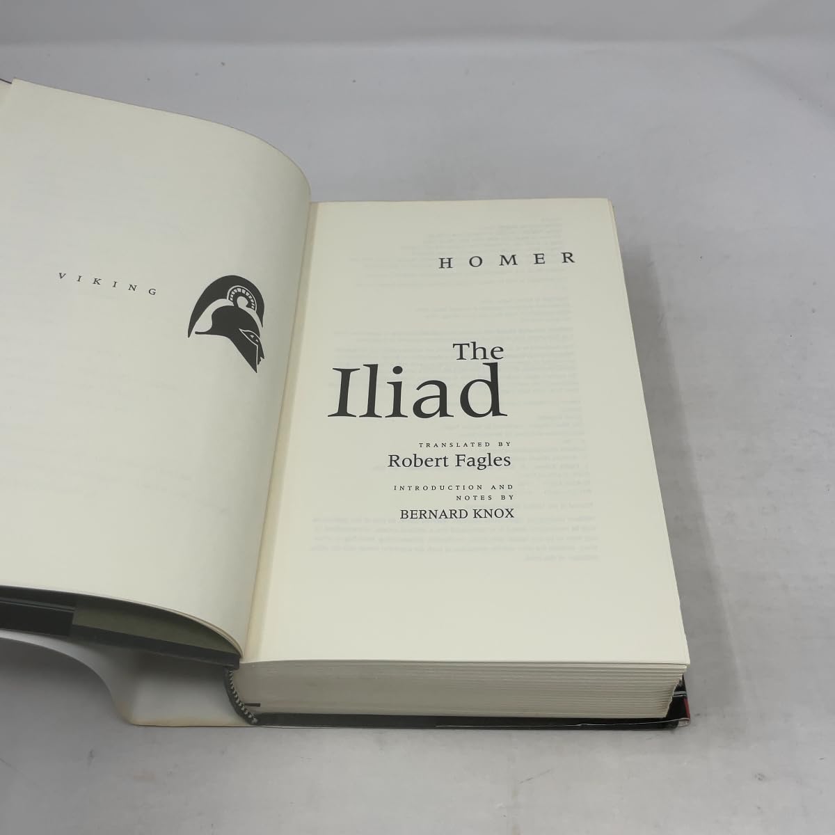 The Iliad