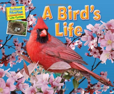 A Birds Life (Animal Diaries: Life Cycles)