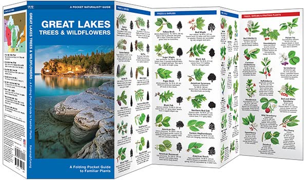 Great Lakes Trees & Wildflowers: A Folding Pocket Guide to Familiar Plants (Nature Observation North America)
